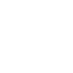 Icon of a brain with a heart inside, representing mental wellness and mood support.