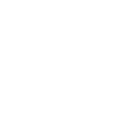 Icon of a plate with a fork and knife, symbolizing nutrition, healthy eating, and lifestyle.