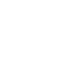 Icon of a lightning bolt, symbolizing energy, productivity, and focus.